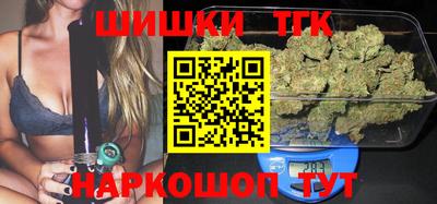 мдпв Татарск