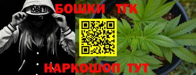мдпв Татарск
