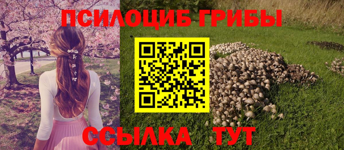 Набережные Челны  Галлюциногенные грибы Magic Shrooms  Вход с VPN 